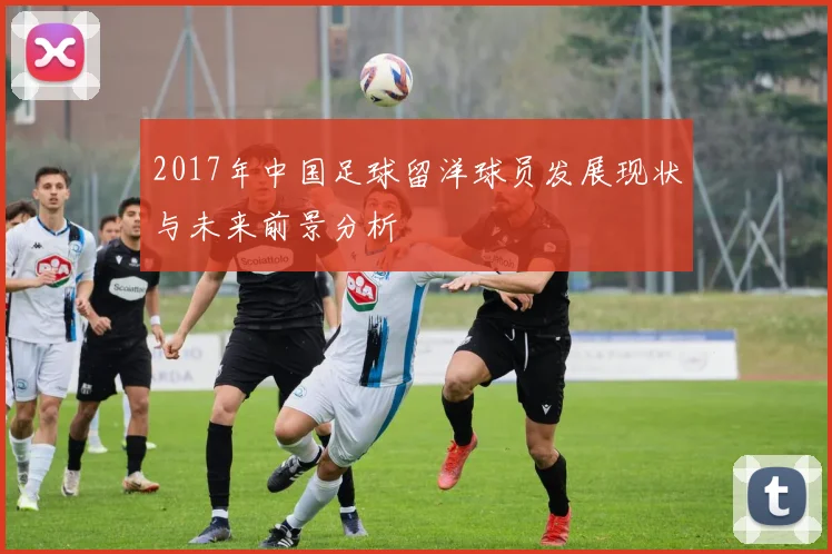 2017年中国足球留洋球员发展现状与未来前景分析