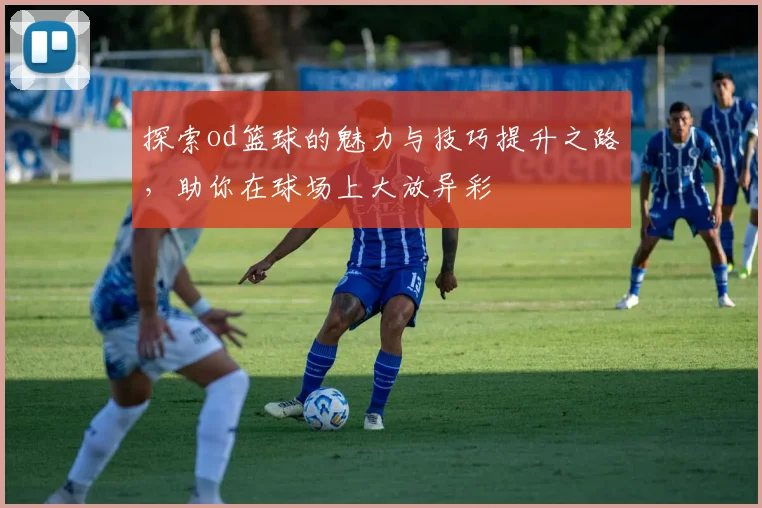 探索od篮球的魅力与技巧提升之路，助你在球场上大放异彩