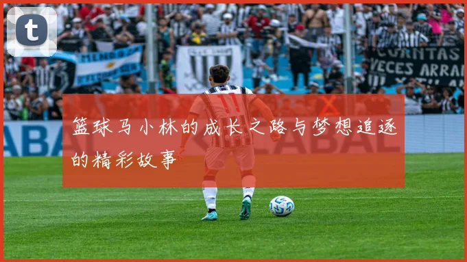 篮球马小林的成长之路与梦想追逐的精彩故事