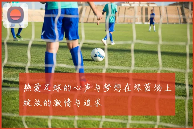 热爱足球的心声与梦想在绿茵场上绽放的激情与追求